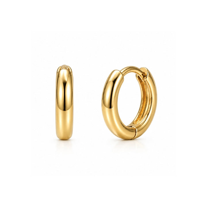 Erin Huggie Hoop Earring